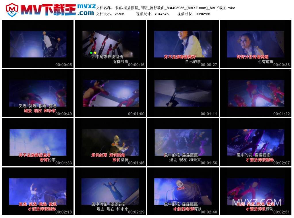 韦嘉-摇摇摆摆_国语_流行歌曲_MA408956